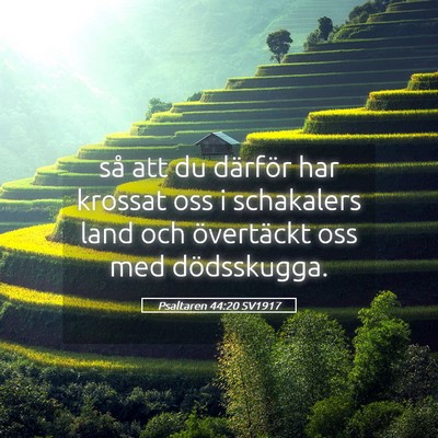 Picture 05 - Psaltaren 44:20 SV1917 - så att du därför har krossat oss i schakalers - Bible Verse Picture