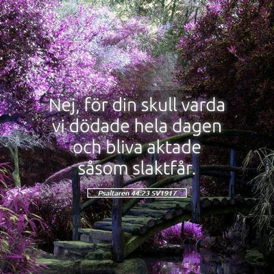 Picture 05 - Psaltaren 44:23 SV1917 - Nej, för din skull varda vi dödade hela dagen - Bible Verse Picture