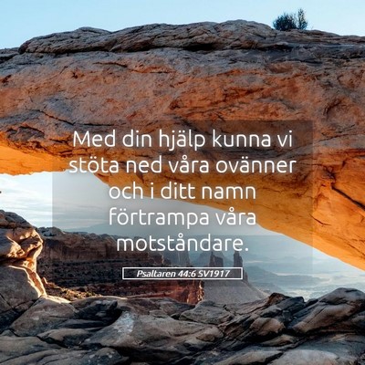Picture 05 - Psaltaren 44:6 SV1917 - Med din hjälp kunna vi stöta ned våra ovänner - Bible Verse Picture