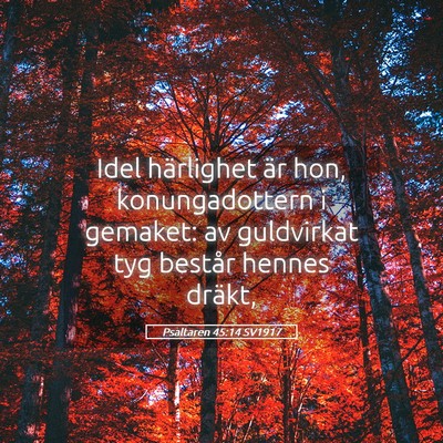 Picture 05 - Psaltaren 45:14 SV1917 - Idel härlighet är hon, konungadottern i - Bible Verse Picture