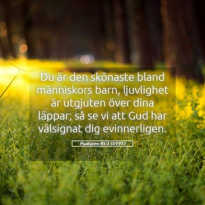 Picture 05 - Psaltaren 45:3 SV1917 - Du är den skönaste bland människors barn, - Bible Verse Picture