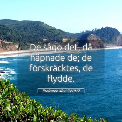 Picture 05 - Psaltaren 48:6 SV1917 - De sågo det, då häpnade de; de förskräcktes, - Bible Verse Picture
