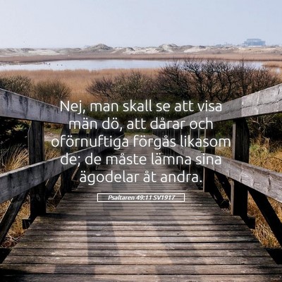 Picture 05 - Psaltaren 49:11 SV1917 - Nej, man skall se att visa män dö, att dårar - Bible Verse Picture