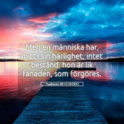 Picture 05 - Psaltaren 49:13 SV1917 - Men en människa har, mitt i sin härlighet, - Bible Verse Picture
