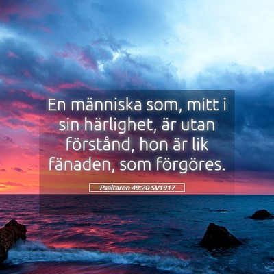 Picture 05 - Psaltaren 49:20 SV1917 - En människa som, mitt i sin härlighet, är utan - Bible Verse Picture