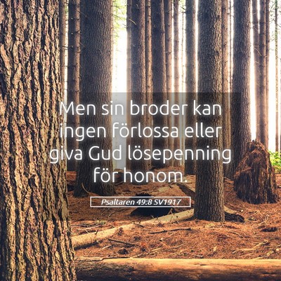 Picture 05 - Psaltaren 49:8 SV1917 - Men sin broder kan ingen förlossa eller giva Gud - Bible Verse Picture