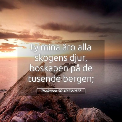 Picture 05 - Psaltaren 50:10 SV1917 - ty mina äro alla skogens djur, boskapen på de - Bible Verse Picture