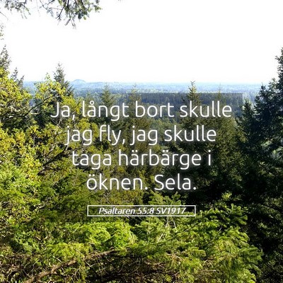 Picture 05 - Psaltaren 55:8 SV1917 - Ja, långt bort skulle jag fly, jag skulle taga - Bible Verse Picture