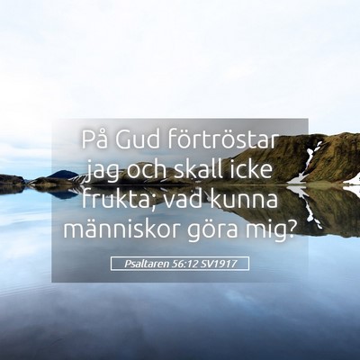 Picture 05 - Psaltaren 56:12 SV1917 - På Gud förtröstar jag och skall icke frukta; - Bible Verse Picture