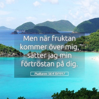 Picture 05 - Psaltaren 56:4 SV1917 - Men när fruktan kommer över mig, sätter jag - Bible Verse Picture
