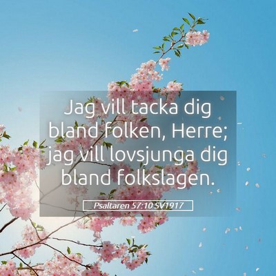 Picture 05 - Psaltaren 57:10 SV1917 - Jag vill tacka dig bland folken, Herre; jag vill - Bible Verse Picture