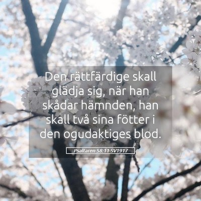 Picture 05 - Psaltaren 58:11 SV1917 - Den rättfärdige skall glädja sig, när han - Bible Verse Picture