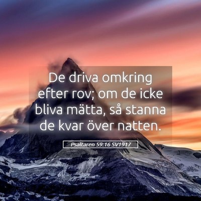 Picture 05 - Psaltaren 59:16 SV1917 - De driva omkring efter rov; om de icke bliva - Bible Verse Picture