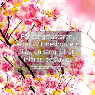 Picture 05 - Psaltaren 60:1 SV1917 - För sångmästaren, efter »Vittnesbördets - Bible Verse Picture