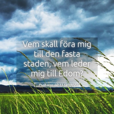 Picture 05 - Psaltaren 60:11 SV1917 - Vem skall föra mig till den fasta staden, vem - Bible Verse Picture