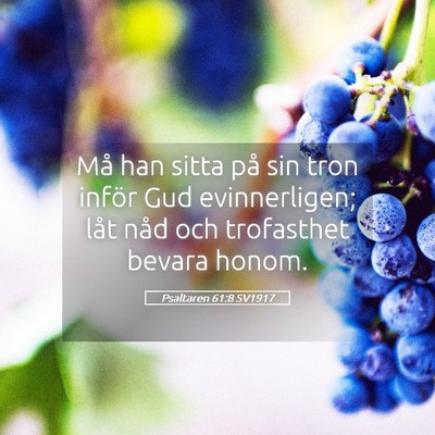 Picture 05 - Psaltaren 61:8 SV1917 - Må han sitta på sin tron inför Gud - Bible Verse Picture