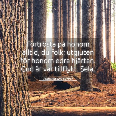 Picture 05 - Psaltaren 62:9 SV1917 - Förtrösta på honom alltid, du folk; utgjuten - Bible Verse Picture
