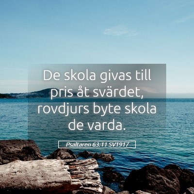 Picture 05 - Psaltaren 63:11 SV1917 - De skola givas till pris åt svärdet, rovdjurs - Bible Verse Picture