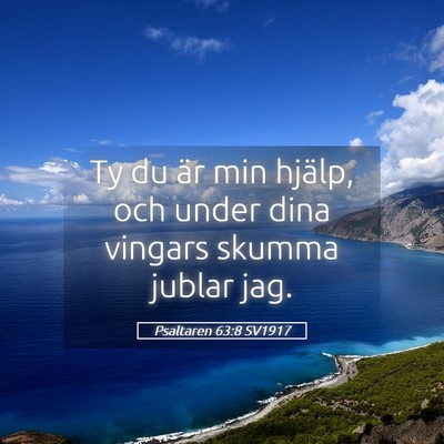 Picture 05 - Psaltaren 63:8 SV1917 - Ty du är min hjälp, och under dina vingars - Bible Verse Picture