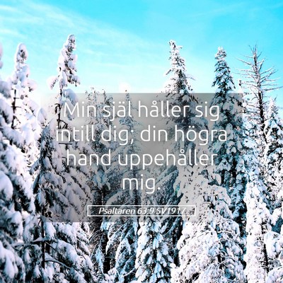 Picture 05 - Psaltaren 63:9 SV1917 - Min själ håller sig intill dig; din högra hand - Bible Verse Picture