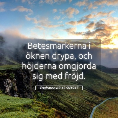 Picture 05 - Psaltaren 65:13 SV1917 - Betesmarkerna i öknen drypa, och höjderna - Bible Verse Picture
