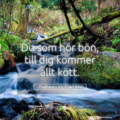 Picture 05 - Psaltaren 65:3 SV1917 - Du som hör bön, till dig kommer allt - Bible Verse Picture