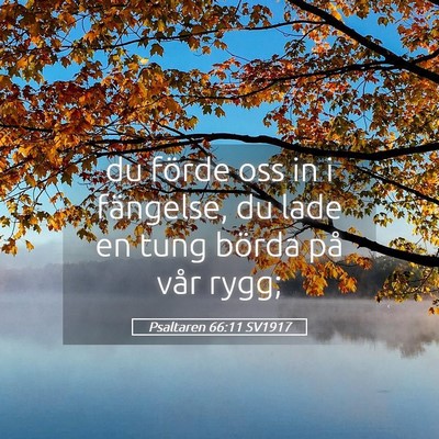Picture 05 - Psaltaren 66:11 SV1917 - du förde oss in i fängelse, du lade en tung - Bible Verse Picture