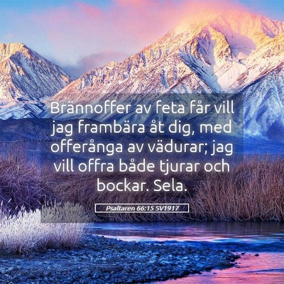 Picture 05 - Psaltaren 66:15 SV1917 - Brännoffer av feta får vill jag frambära åt - Bible Verse Picture