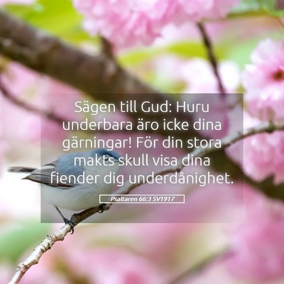 Picture 05 - Psaltaren 66:3 SV1917 - Sägen till Gud: Huru underbara äro icke dina - Bible Verse Picture