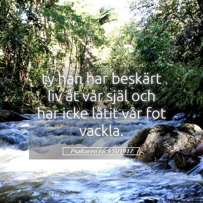 Picture 05 - Psaltaren 66:9 SV1917 - ty han har beskärt liv åt vår själ och har - Bible Verse Picture