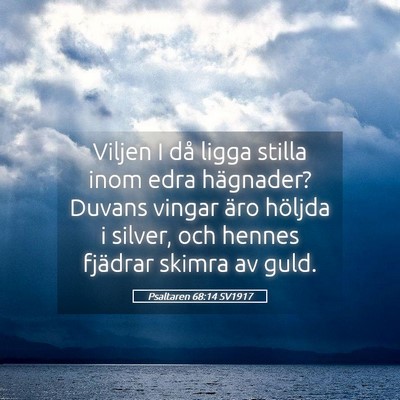 Picture 05 - Psaltaren 68:14 SV1917 - Viljen I då ligga stilla inom edra hägnader? - Bible Verse Picture