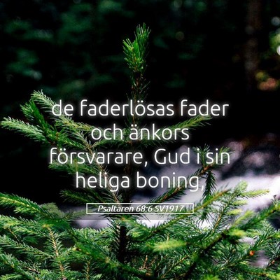 Picture 05 - Psaltaren 68:6 SV1917 - de faderlösas fader och änkors försvarare, Gud - Bible Verse Picture