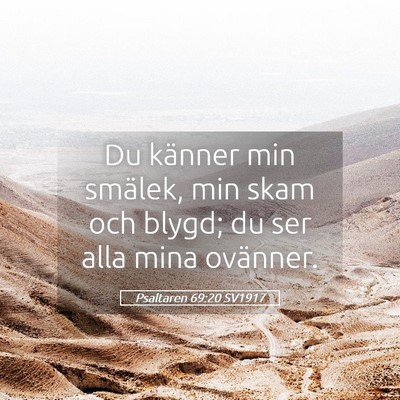 Picture 05 - Psaltaren 69:20 SV1917 - Du känner min smälek, min skam och blygd; du - Bible Verse Picture