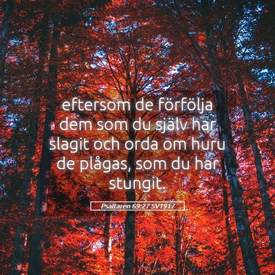 Picture 05 - Psaltaren 69:27 SV1917 - eftersom de förfölja dem som du själv har - Bible Verse Picture