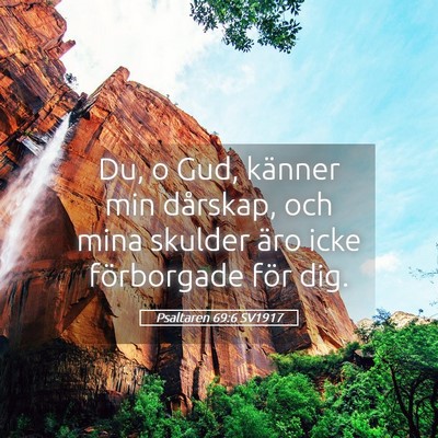 Picture 05 - Psaltaren 69:6 SV1917 - Du, o Gud, känner min dårskap, och mina skulder - Bible Verse Picture