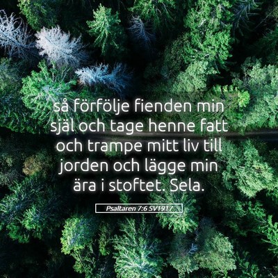 Picture 05 - Psaltaren 7:6 SV1917 - så förfölje fienden min själ och tage henne - Bible Verse Picture