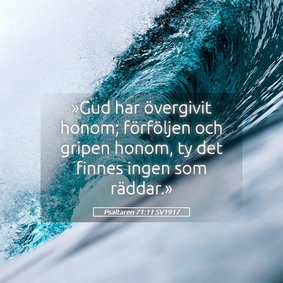 Picture 05 - Psaltaren 71:11 SV1917 - »Gud har övergivit honom; förföljen och - Bible Verse Picture