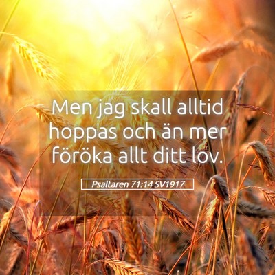 Picture 05 - Psaltaren 71:14 SV1917 - Men jag skall alltid hoppas och än mer föröka - Bible Verse Picture