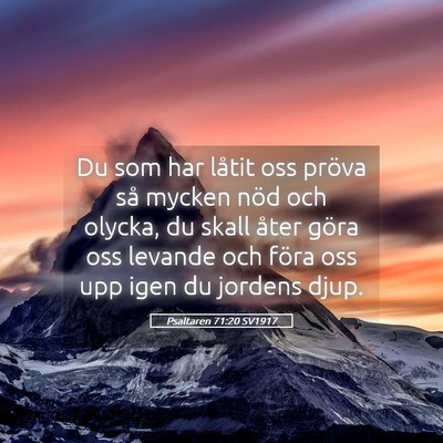 Picture 05 - Psaltaren 71:20 SV1917 - Du som har låtit oss pröva så mycken nöd och - Bible Verse Picture