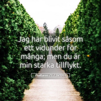 Picture 05 - Psaltaren 71:7 SV1917 - Jag har blivit såsom ett vidunder för många; - Bible Verse Picture