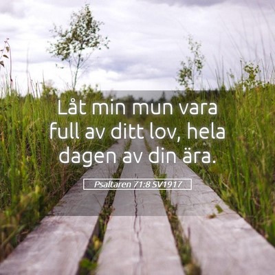 Picture 05 - Psaltaren 71:8 SV1917 - Låt min mun vara full av ditt lov, hela dagen av - Bible Verse Picture