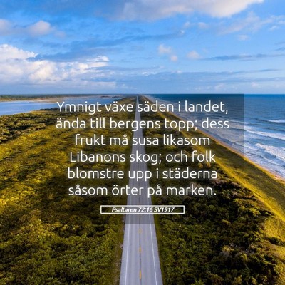 Picture 05 - Psaltaren 72:16 SV1917 - Ymnigt växe säden i landet, ända till bergens - Bible Verse Picture