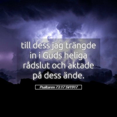Picture 05 - Psaltaren 73:17 SV1917 - till dess jag trängde in i Guds heliga rådslut - Bible Verse Picture