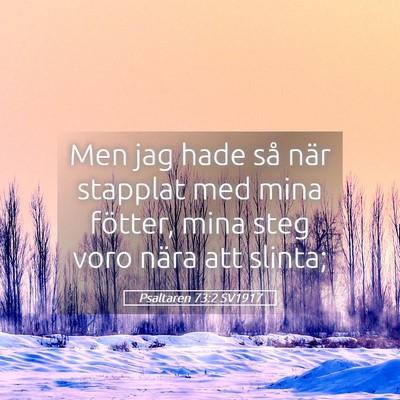 Picture 05 - Psaltaren 73:2 SV1917 - Men jag hade så när stapplat med mina fötter, - Bible Verse Picture
