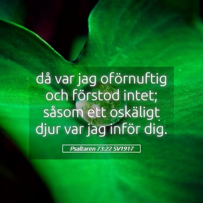 Picture 05 - Psaltaren 73:22 SV1917 - då var jag oförnuftig och förstod intet; - Bible Verse Picture