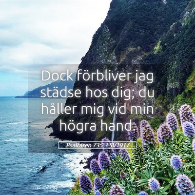 Picture 05 - Psaltaren 73:23 SV1917 - Dock förbliver jag städse hos dig; du håller - Bible Verse Picture