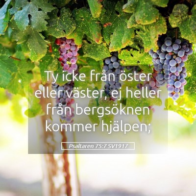 Picture 05 - Psaltaren 75:7 SV1917 - Ty icke från öster eller väster, ej heller - Bible Verse Picture