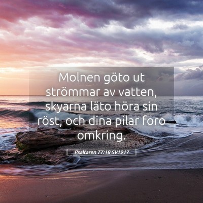 Picture 05 - Psaltaren 77:18 SV1917 - Molnen göto ut strömmar av vatten, skyarna - Bible Verse Picture