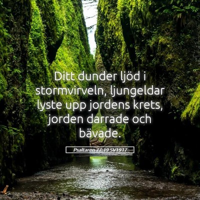 Picture 05 - Psaltaren 77:19 SV1917 - Ditt dunder ljöd i stormvirveln, ljungeldar - Bible Verse Picture