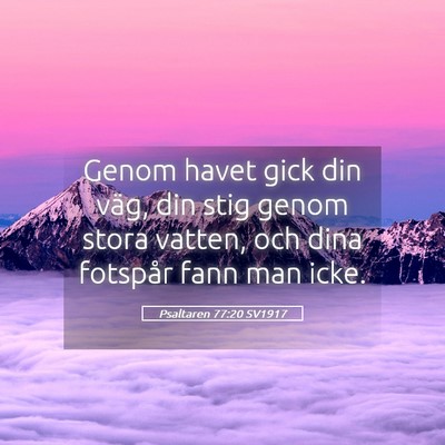 Picture 05 - Psaltaren 77:20 SV1917 - Genom havet gick din väg, din stig genom stora - Bible Verse Picture